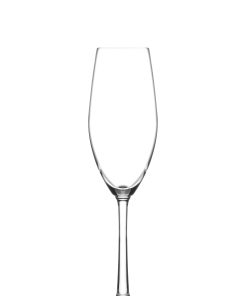 Jogo 6 Taças Champagne 210ml Sante Ocean - Eco Cristal com Titânio, Alta Resistência